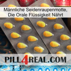 Männliche Seidenraupenmotte, Die Orale Flüssigkeit Nährt cialis2